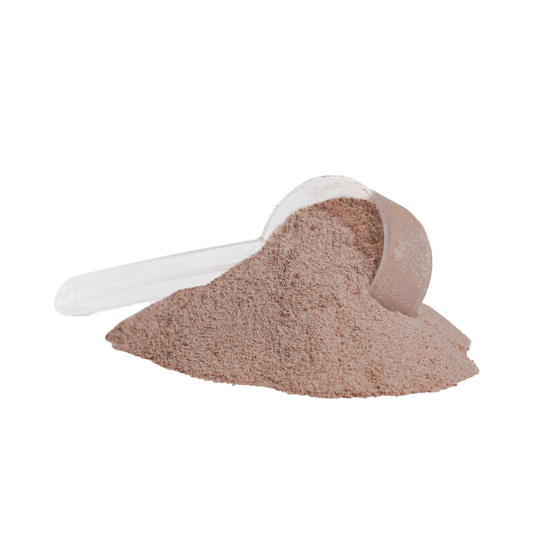 XTREME PROTEIN CHOCOLATE