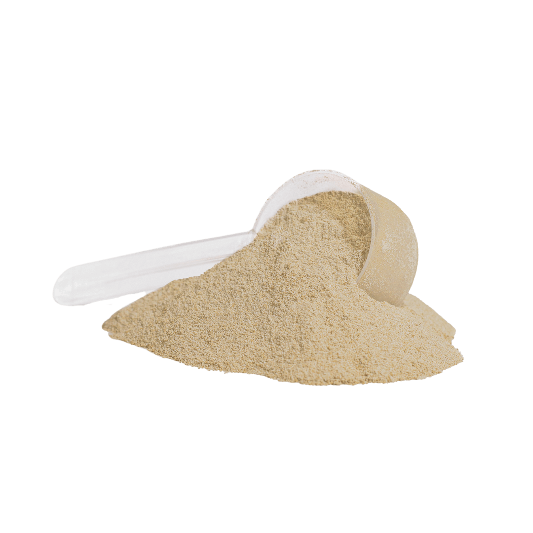 XTREME PROTEIN VANILLA