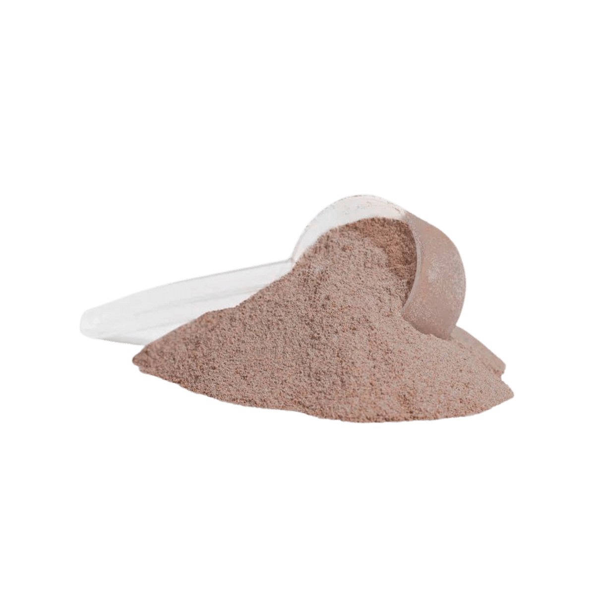 XTREME ADVANCED PROTEIN CHOCOLATE