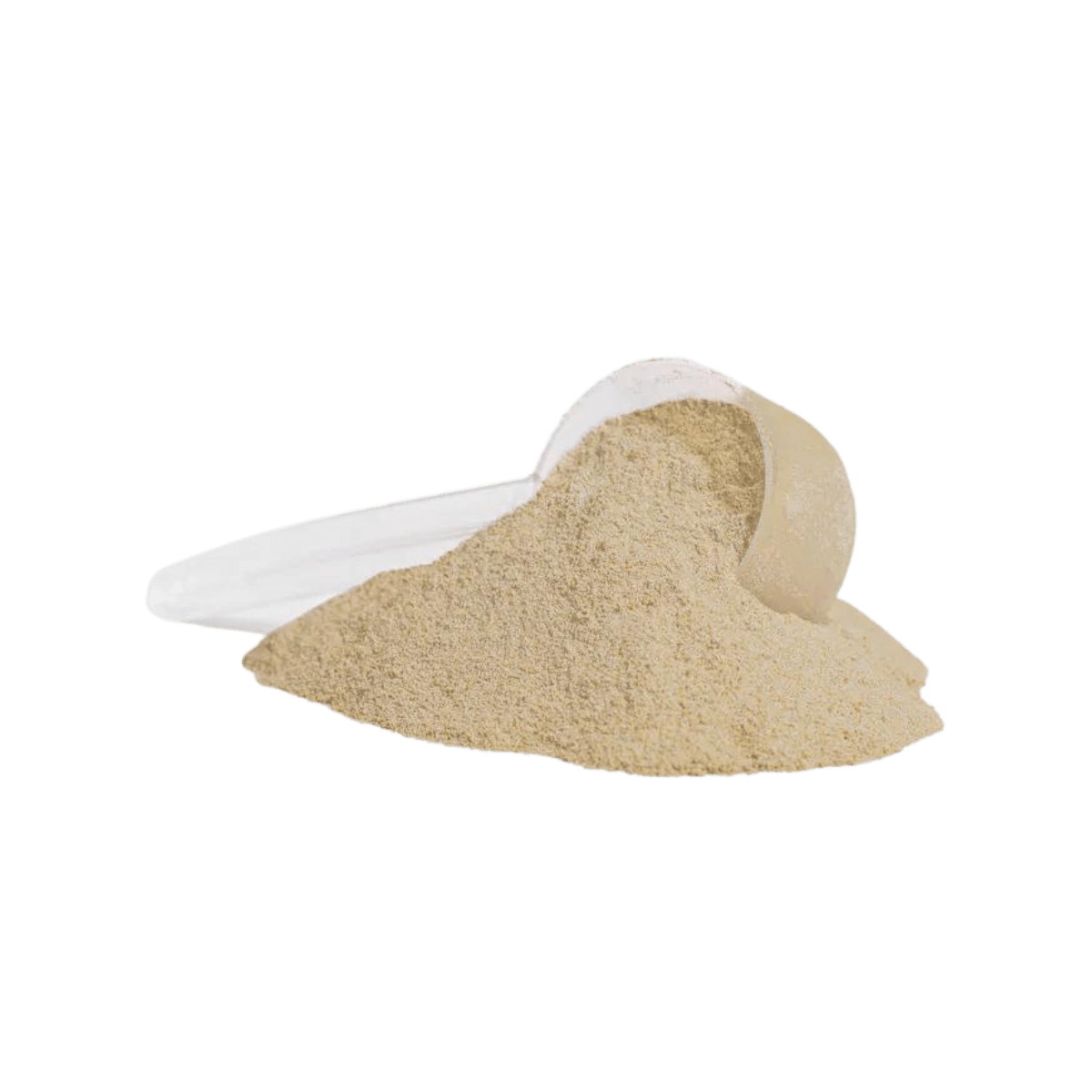 XTREME ADVANCED PROTEIN VANILLA