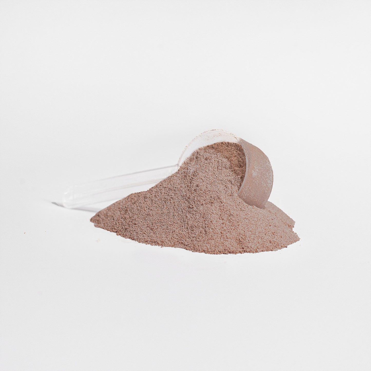 XTREME ADVANCED PROTEIN CHOCOLATE