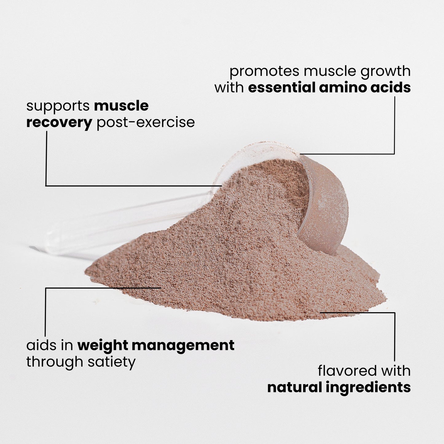 XTREME ADVANCED PROTEIN CHOCOLATE