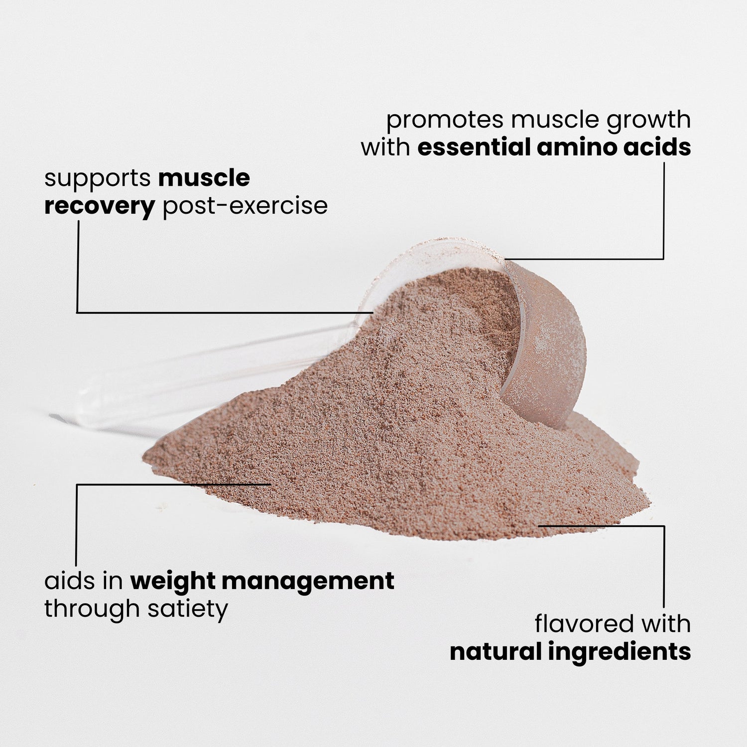 XTREME ADVANCED PROTEIN CHOCOLATE